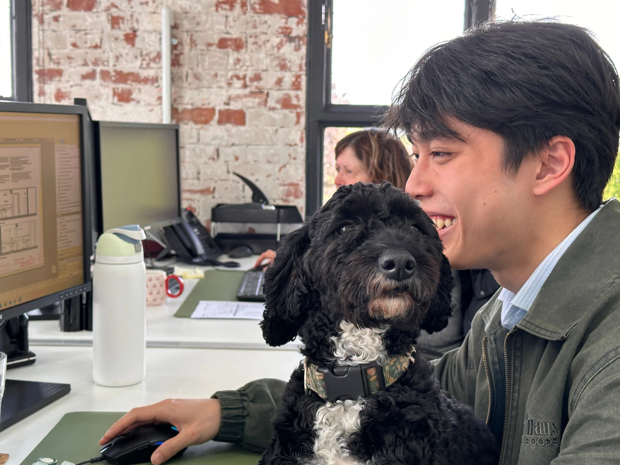 LED Architects studio with B, the studio dog
