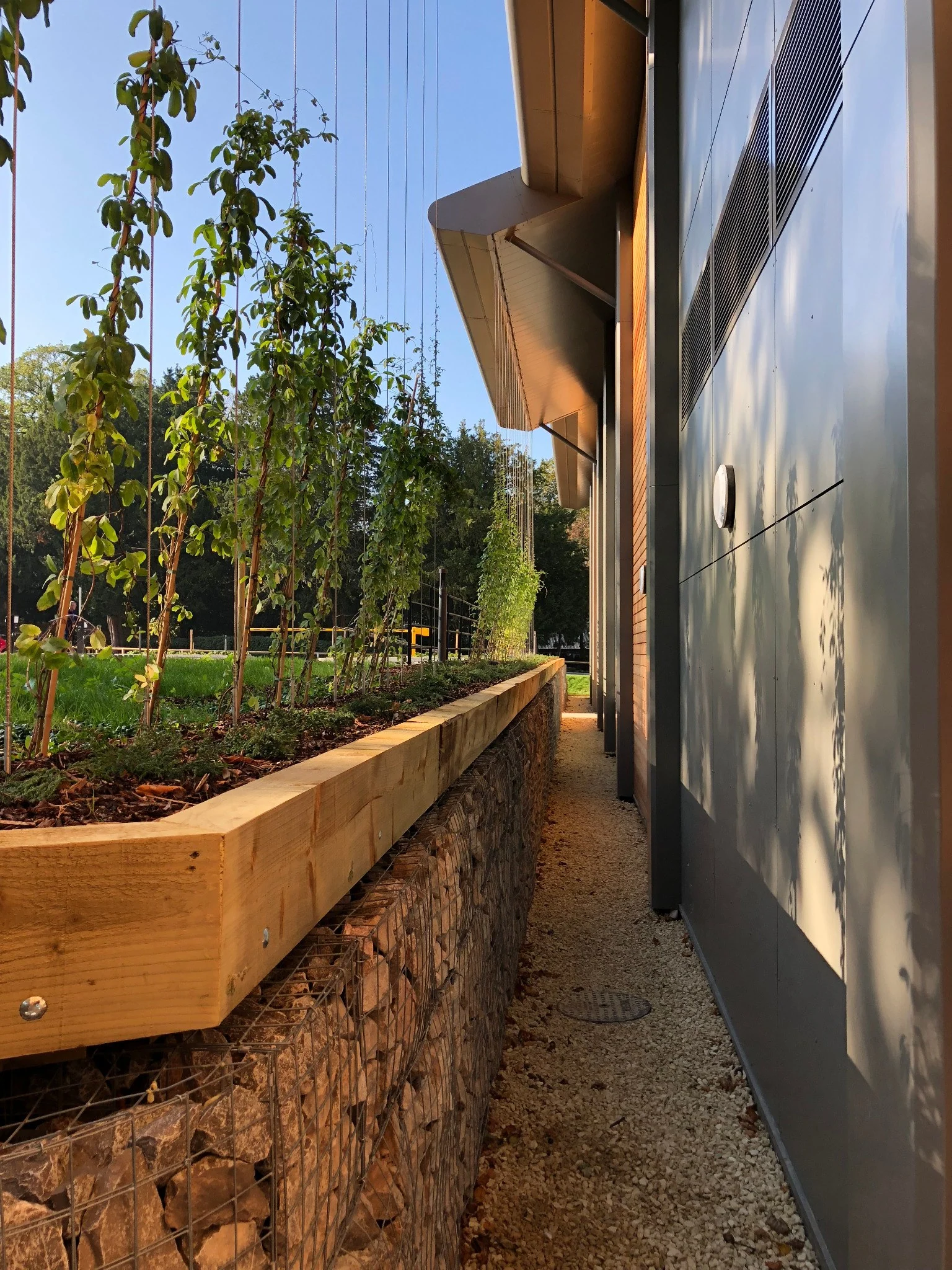 Badminton School Sports Centre exterior and landscape